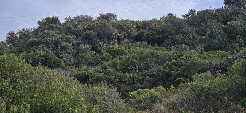 0 Bedroom Property for Sale in Bothastrand Western Cape